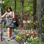 Kneipp-kurhotel Steinle 3*