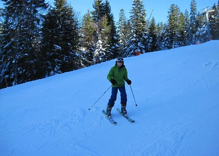 호텔 크나이프-쿠르호텔 스타인레